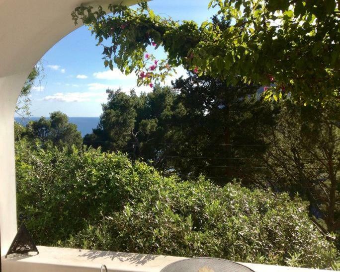 Villa Guya Capri Ngoại thất bức ảnh